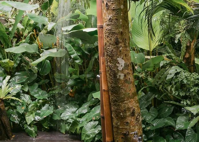 Alamvaya Bali Bamboo House Sidemen (Bali)